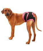 culotte pour grand chien hygienique pas cher livraison rapide livraison martinique guadeloupe ile de la reunion