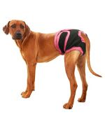 panties for large hygienic dogs cheap fast delivery delivery martinique guadeloupe ile de la reunion