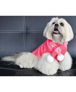 vetement pour chien d'hiver rose avec rayure pour un look chic avec écharpe guadeloupe martinique dom tom