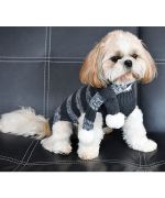 acheter vetement pour chien d'hiver gris avec rayure pour un look chic avec écharpe