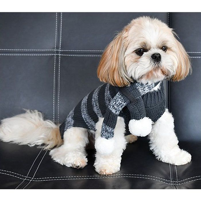 buy clothes for dog winter with grey stripe for a stylish look with scarf
