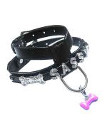 Harness personalize for dogs and cats