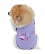 original dog accessories birthday t-shirt for dogs cats happy birthday