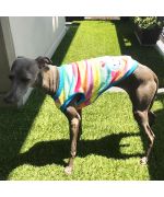 ropa de lana para mascotas barata multicolor Paris Nancy Toulouse Strasbourg Mulhouse Cannes