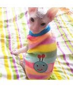 suéter de gato de lana barato talla xs sml xl xxl moda para mascotas