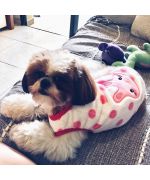 acheter polaire pour chien rose pour chien fille trop mignon avec petit lapin tout doux cadeau original pour noel