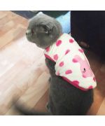 habit pour chat trop mignon en polaire pour la maison sphinx livraison guadeloupe martinique ile de la reunion st barth