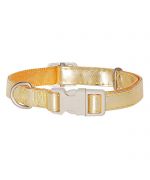 golden dog collar for small and large dogs delivery suiise martinique belgium dom tom ile de la reunion