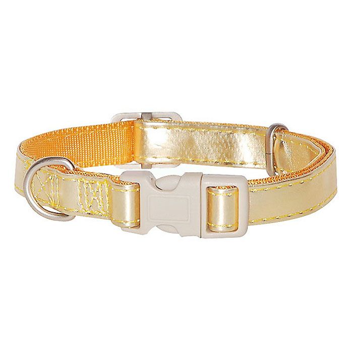 golden dog collar for small and large dogs delivery suiise martinique belgium dom tom ile de la reunion