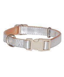 Collar de perro de plata