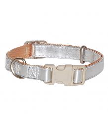 Dog collar with quick-closing (there are multiple sizes of 15 to 50 cm) - silver