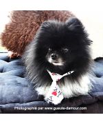 Accessory for deguisement boy child tie i love new york with hearts on trend Nancy, Grenoble, france, Neuilly...
