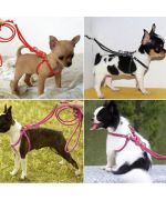 dog harness with rhinestones cheap free shipping dom tom, belgium, switzerland