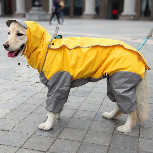 Abrigo impermeable para perros con patas especiales de gran tamaño y calidad barata