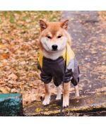 acheter imperméable pour grand chien avec pattes pas cher qualité jaune et gris