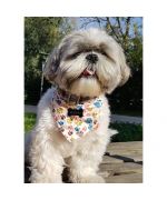 quality cheap shitzu dog bandana very cute boutique Gueule d'Amour