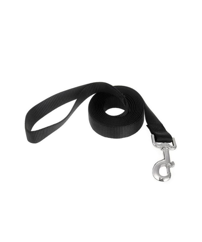 KYSUN 1.4 m Laisse de Chien en Nylon, Noir Corde Laisse Chien, Laisse Chien  Corde, Laisse Dressage Chien, Laisse Coulissante, Laisse Lasso pour Chien