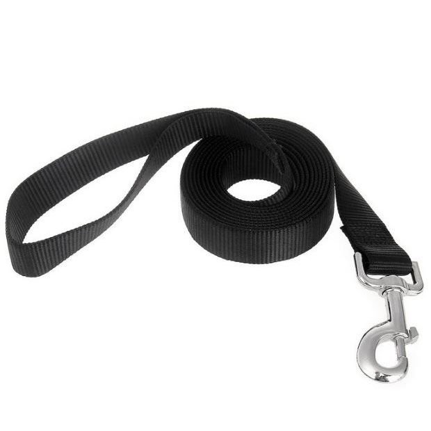 Buy cheap black nylon dog leash on Gueule d&#039;Amour online store