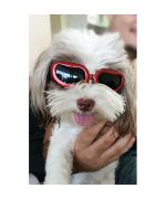 gafas para perro sol razas pequeñas tienda para animales Boca de amor