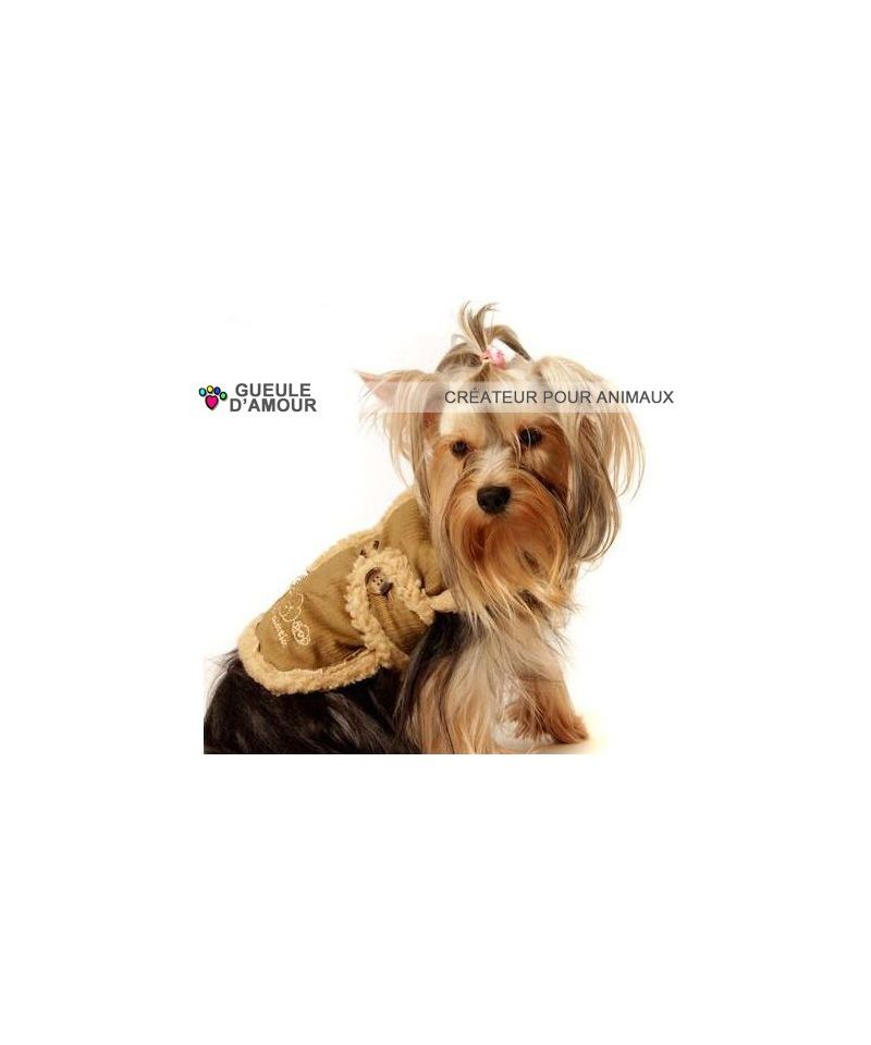 manteau pour chien yorkshire pas cher