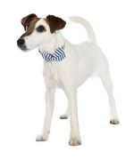 collar de perro marinero azul y blanco con pajarita