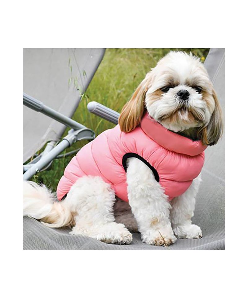 Lhassa Apso chien amour Hoody Sweat
