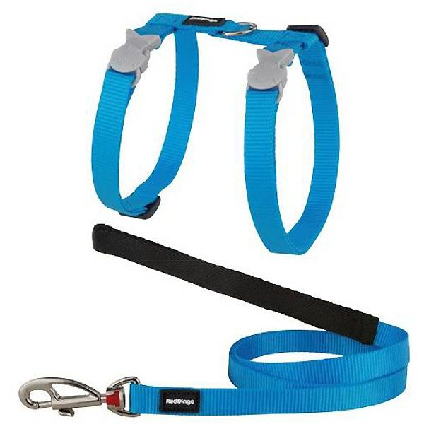 Special harness and cat Leash Blue