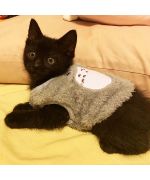suéter para gatito