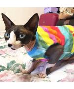 suéter de lana especial para gatos