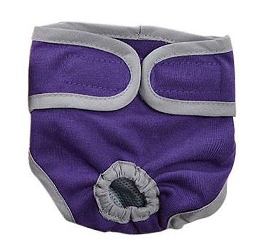 Culotte pour chienne pratique