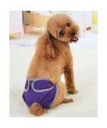 Calzoncillo para caniche hembra