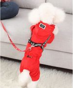 coat for poodle bichon jack westie with red paws