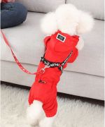 coat for poodle bichon jack westie with red paws