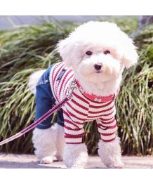 Combinaison pour chien à rayures - Rouge et blanc