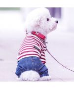 habit marin pour chien rouge et blanc