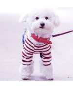 pull marin pour chien rouge et blanc