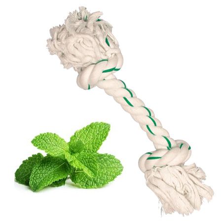 rope dog toy mint for teeth fresh breath pets delivery dom tom guadeloupe