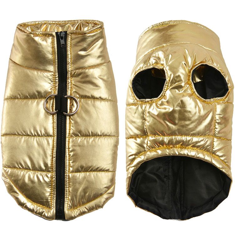 golden dog coat