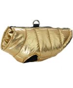golden coat for dogs with integrated fastening buckle
