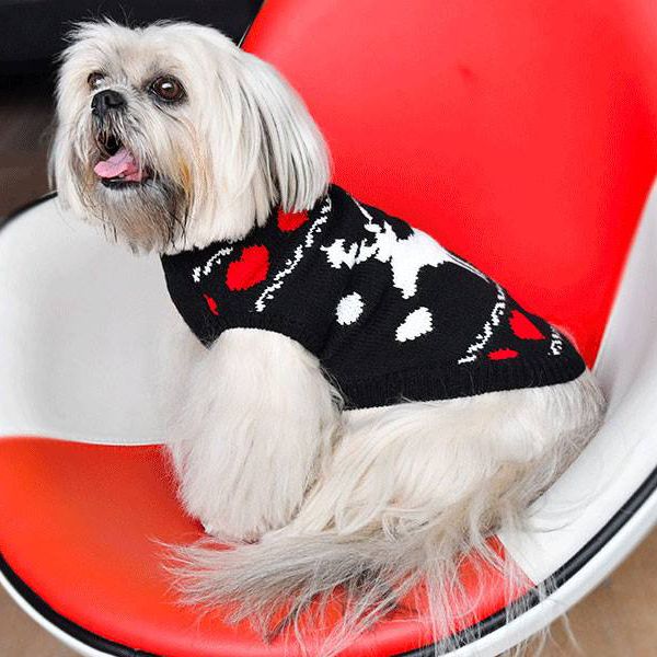 pull de noel pour chien christmas