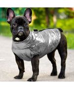 chaqueta impermeable bulldog frances