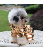 chaqueta cálida para un perro dorado elegante