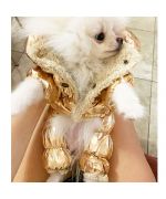 coat for small dogs with golden fur