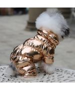 gold trendy warm dog down jacket