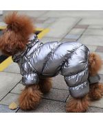 warm silver dog coat