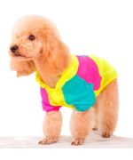 multi-colored dog raincoat