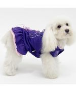 robe pour chienne strass