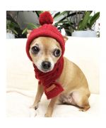 gorro de invierno para chihuahua