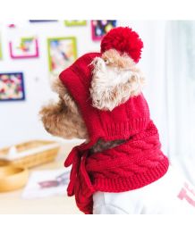 Ensemble bonnet et écharpe pour chien et chat