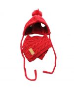 gorro para perro